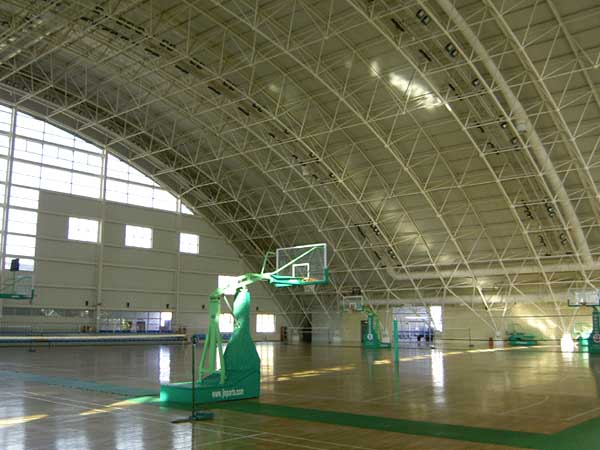 西青篮球馆网架